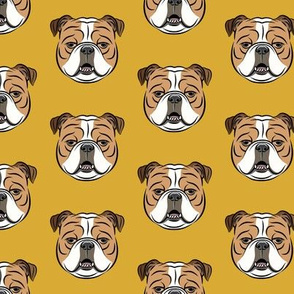 Bulldogs - Gold -British bulldog English Bulldog Dog Breed