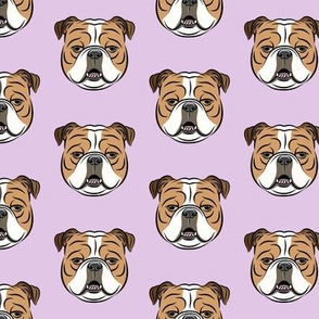 Bulldogs - Purple - English Bulldog Dog Breed