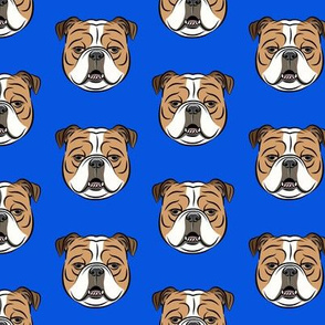 Bulldogs - Blue -British bulldog English Bulldog Dog Breed