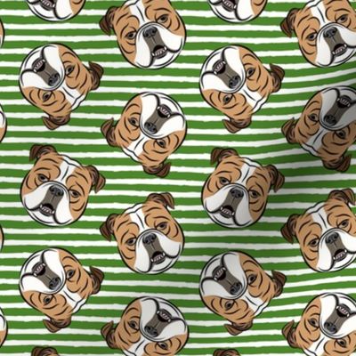 Bulldogs - Toss on Green Stripes - British bulldog English Bulldog Dog Breed