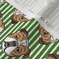 Bulldogs - Toss on Green Stripes - British bulldog English Bulldog Dog Breed