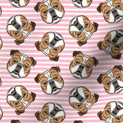 Bulldogs - Toss on Pink Stripes -British bulldog English Bulldog Dog Breed