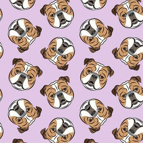 Bulldogs - Toss on Purple - British bulldog English Bulldog Dog Breed