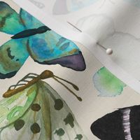 watercolor butterflies