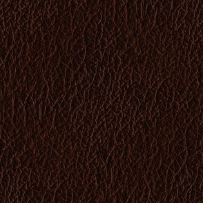 Dark Brown Leather