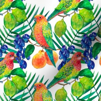 Parrots with lemons and grapes watercolor seamless pattern on white