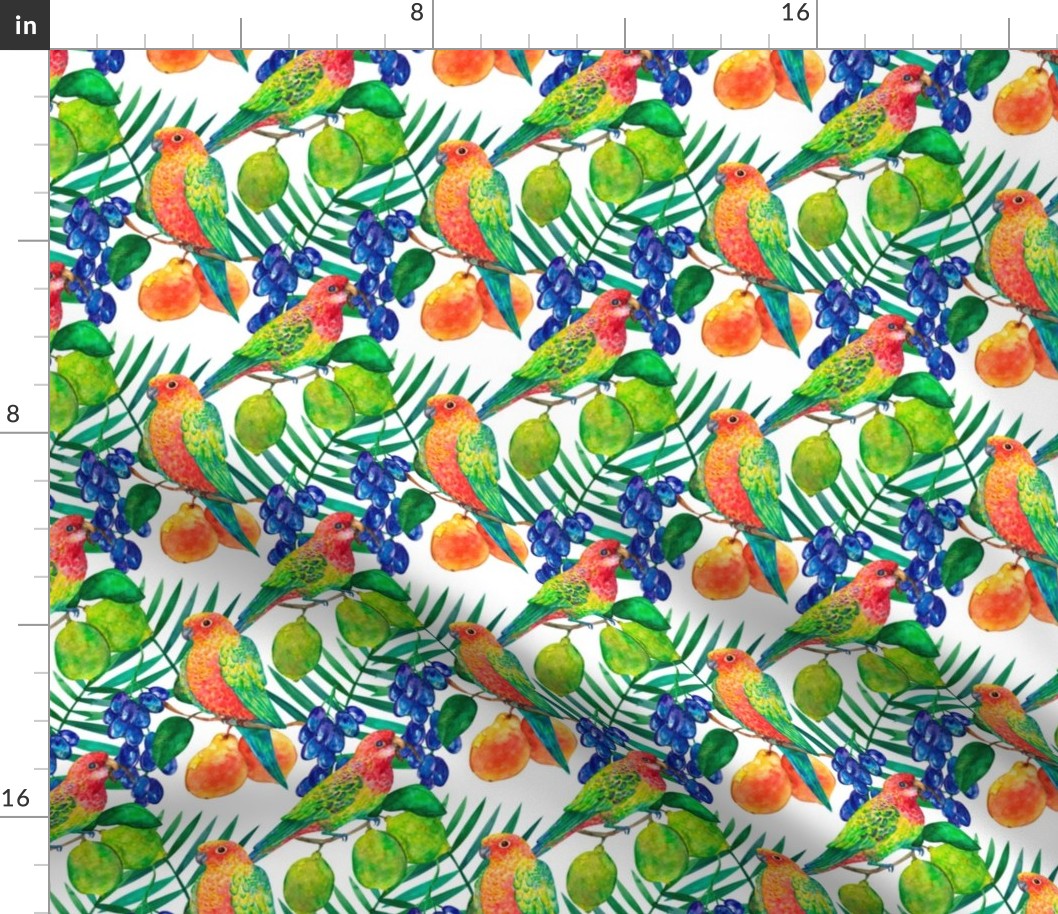 Parrots with lemons and grapes watercolor seamless pattern on white