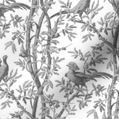 Golden Pheasants Chinoiserie Toile ~ Silver Grey on White 