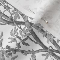 Golden Pheasants Chinoiserie Toile ~ Silver Grey on White 