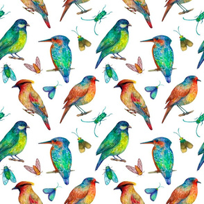 Colorful Birds and insects watercolor seamless pattern on white