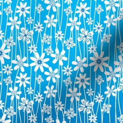 Daisies Strings on Blue Ombre