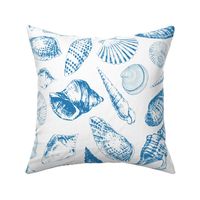 Tropical underwater creatures in blue and white