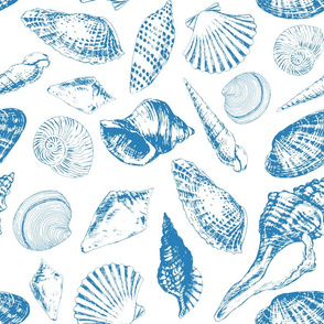 Tropical underwater creatures in blue and white