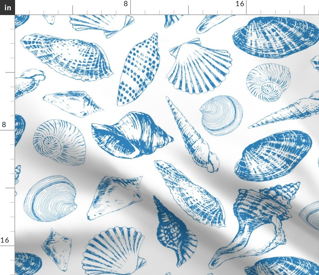 Tropical underwater creatures in blue and white
