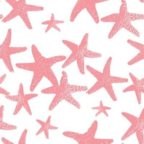 Wish Upon a Star pink lemonade 1
