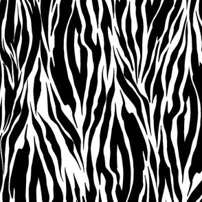 Zebra Skin 9