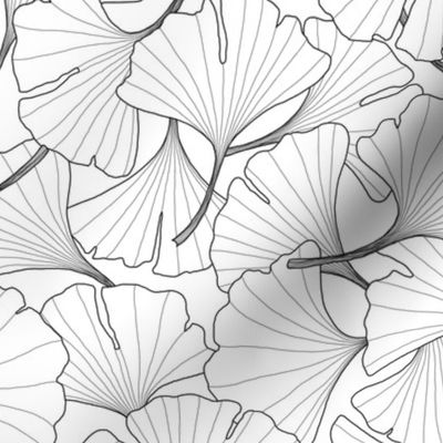 ginkgo leaves in black and white