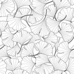 ginkgo leaves in black and white
