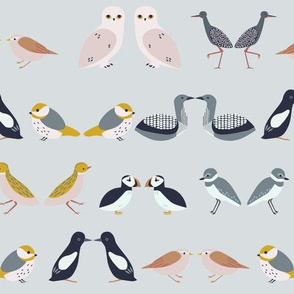 birds of scandinavia - rows (cool)