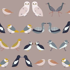 birds of scandinavia - rows (warm)