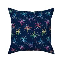 Pisces Zodiac Constellation Rainbow