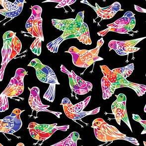 Birds Wild Rainbow Neon on Black