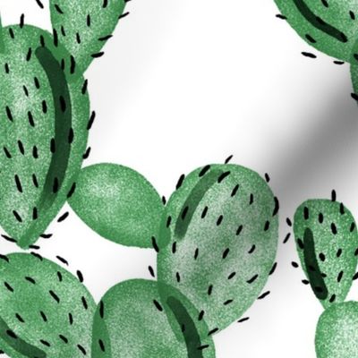 light emerald paddle cactus