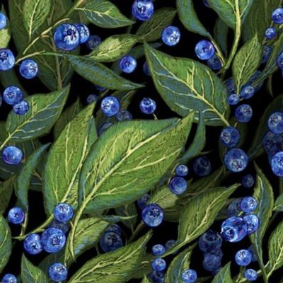 Festive Blueberries | Black