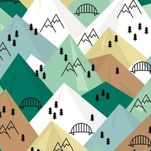 Abstract Scandinavian mountains woodland road trip adventure and pine tree forest green nature boys