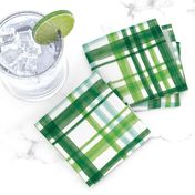 Irish Plaid - Watercolor with mint - St Patricks Day