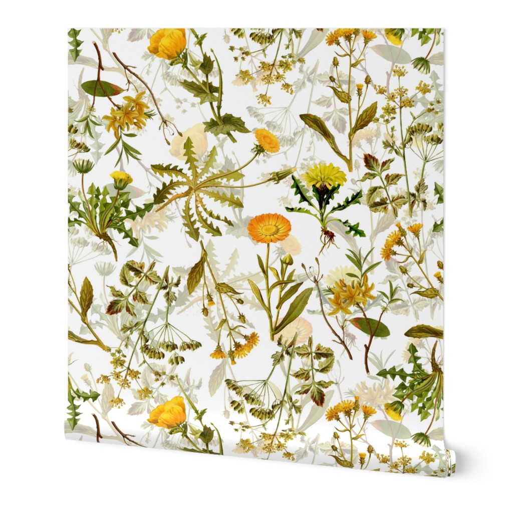 10" yellow vintage botanical wildflowers on  white