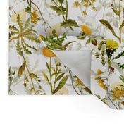 10" yellow vintage botanical wildflowers on  white