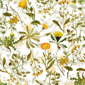 10" yellow vintage botanical wildflowers on  white