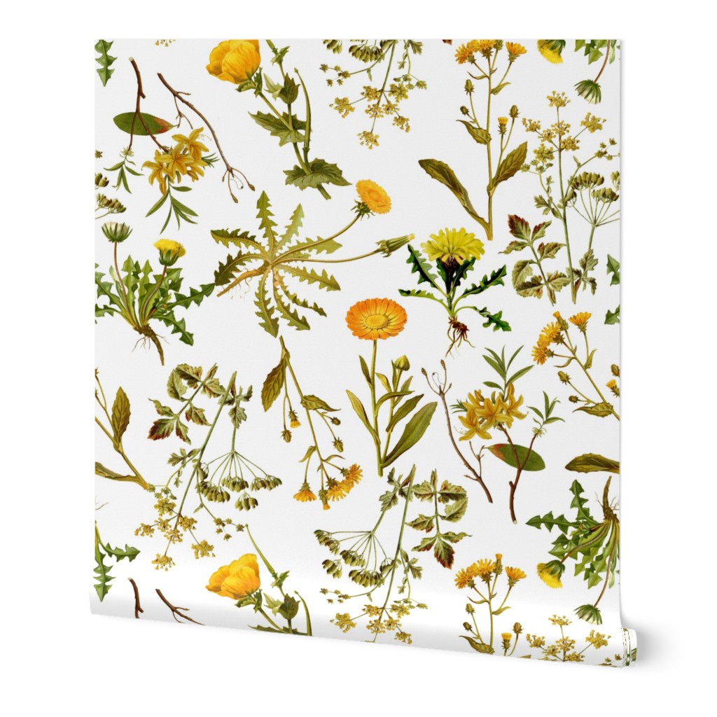 10" nostalgic yellow vintage botanical antiqued dandelion and  wildflowers on  white- farmhouse wildflowers home decor 