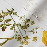 10" nostalgic yellow vintage botanical antiqued dandelion and  wildflowers on  white- farmhouse wildflowers home decor 