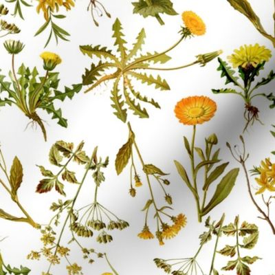 10" nostalgic yellow vintage botanical antiqued dandelion and  wildflowers on  white- farmhouse wildflowers home decor 