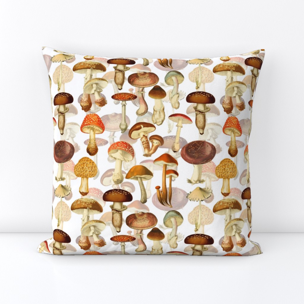 vintage hand drawn botnical fungus mushrooms double on white-Antique mushroom fabric,mushrooms fabric  Psychadelic  Mushroom Wallpaper