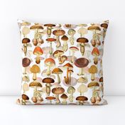 vintage hand drawn botnical fungus mushrooms double on white-Antique mushroom fabric,mushrooms fabric  Psychadelic  Mushroom Wallpaper