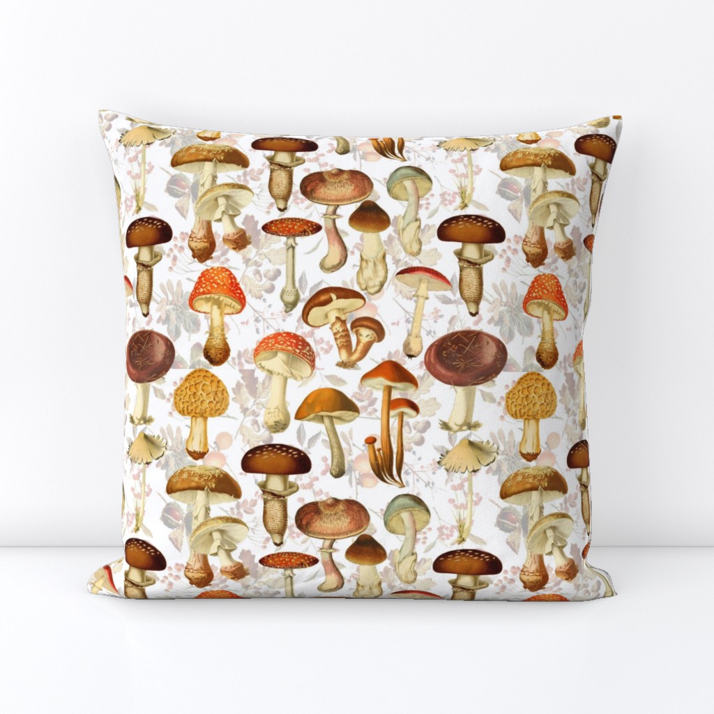 18" vintage hand drawn botnical fungus mushrooms double on white-Antique mushroom fabric,mushrooms fabric Psychadelic  Mushroom Wallpaper