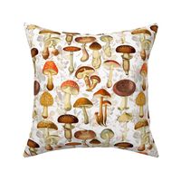 18" vintage hand drawn botnical fungus mushrooms double on white-Antique mushroom fabric,mushrooms fabric Psychadelic  Mushroom Wallpaper