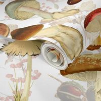 18" vintage hand drawn botnical fungus mushrooms double on white-Antique mushroom fabric,mushrooms fabric Dramatic psychadelic  Mushroom Wallpaper