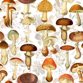 18" vintage hand drawn botnical fungus mushrooms double on white-Antique mushroom fabric,mushrooms fabric Psychadelic  Mushroom Wallpaper