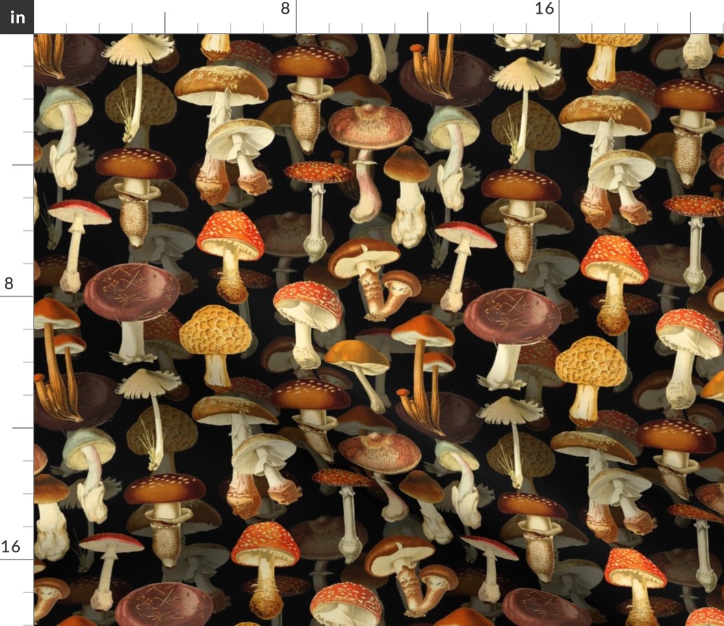 10” vintage hand drawn botanical fungus mushrooms double on black-Antique mushroom fabric,mushrooms fabric Psychadelic  Mushroom Wallpaper