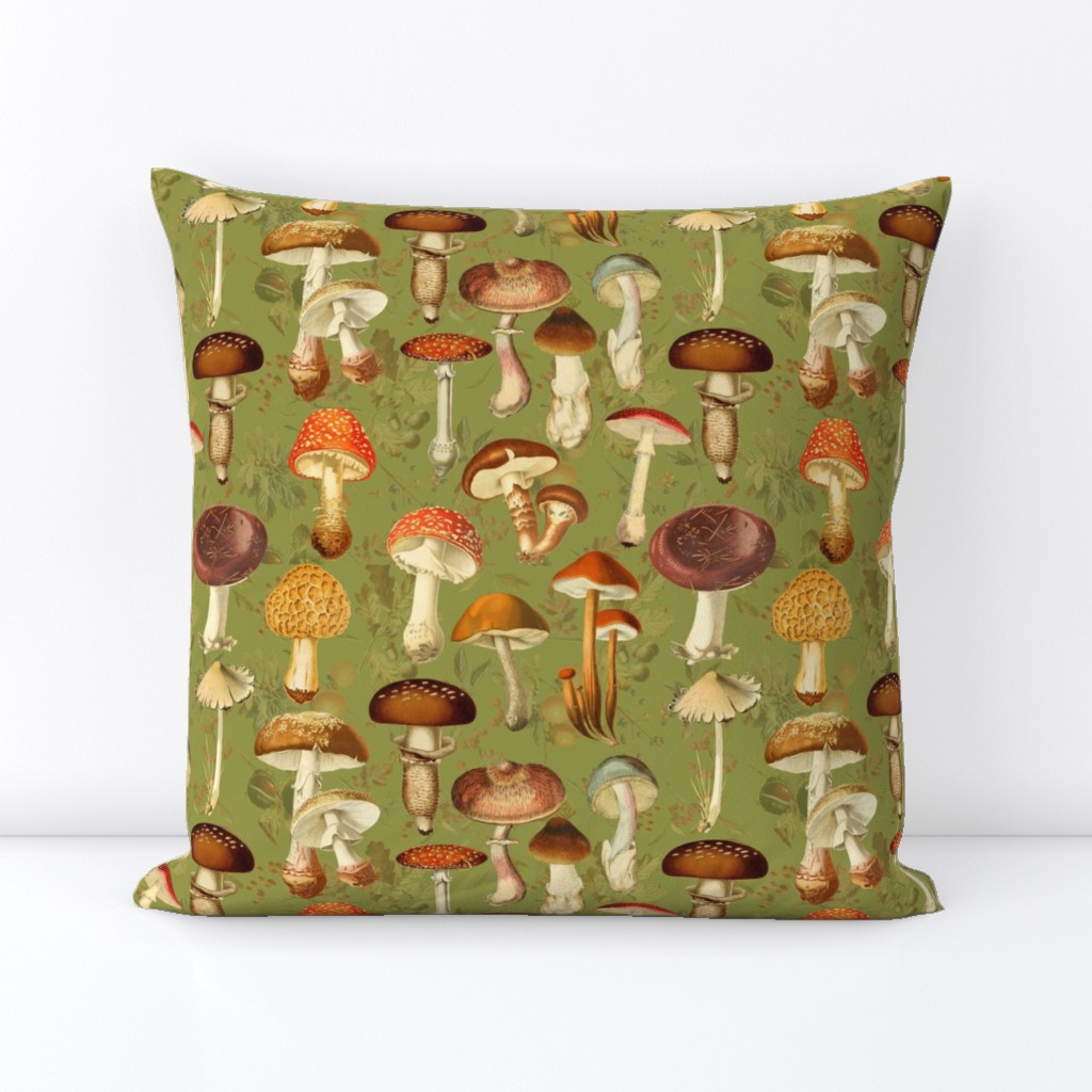 10" vintage hand drawn botnical fungus mushrooms double on green-Antique mushroom fabric,mushrooms fabric Psychadelic  Mushroom Wallpaper