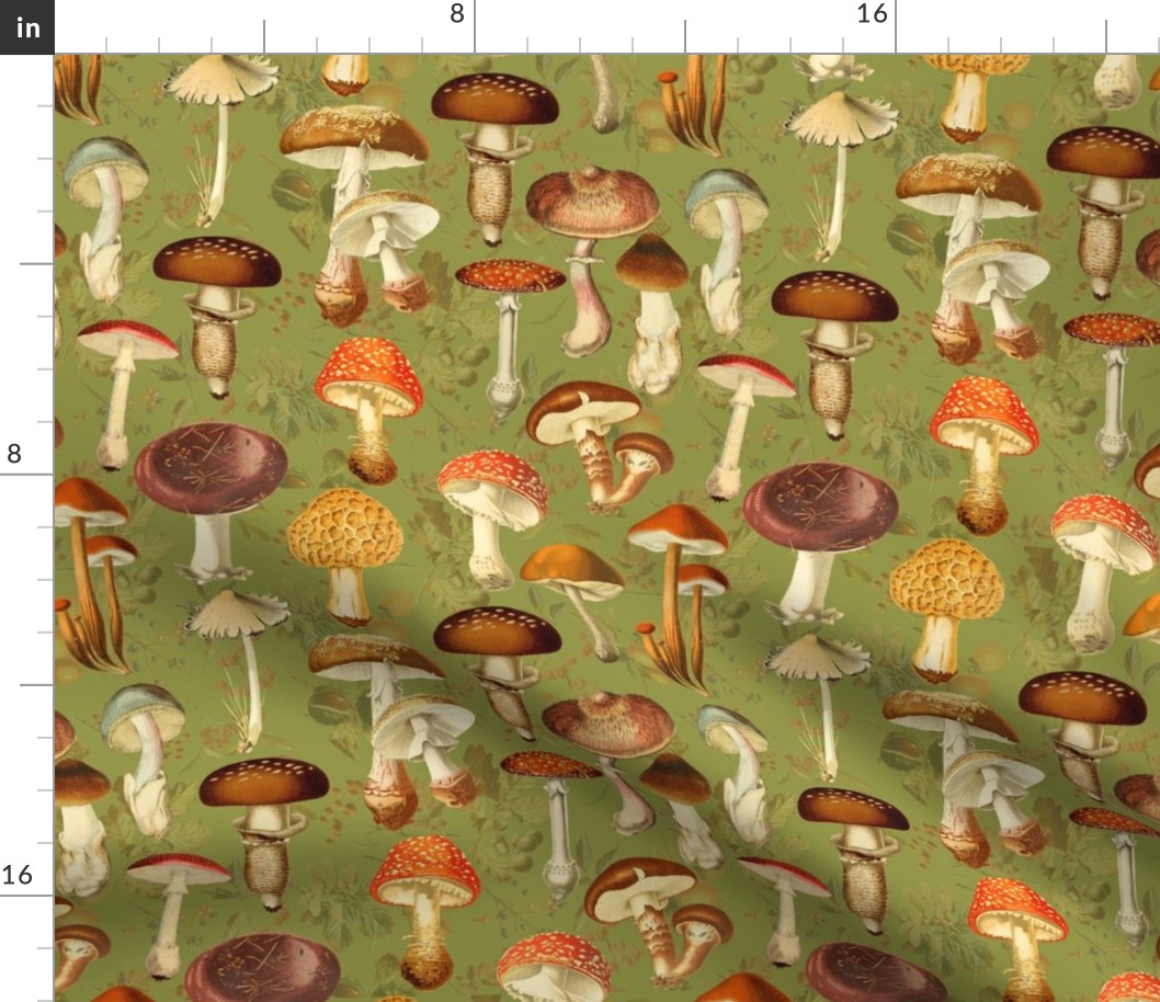 10" vintage hand drawn botnical fungus mushrooms double on green-Antique mushroom fabric,mushrooms fabric Psychadelic  Mushroom Wallpaper