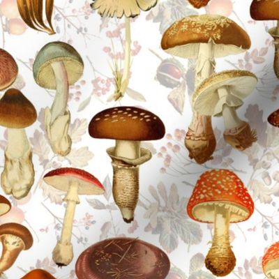 10" nostalgic vintage hand drawn antiqued botnical fungus mushrooms double on white-Vintage home decor, antique Psychadelic  Mushroom Wallpaper,Antique mushroom fabric,mushrooms fabric