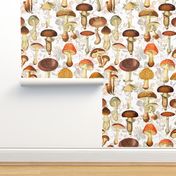 10" nostalgic vintage hand drawn antiqued botnical fungus mushrooms double on white-Vintage home decor, antique Psychadelic  Mushroom Wallpaper,Antique mushroom fabric,mushrooms fabric