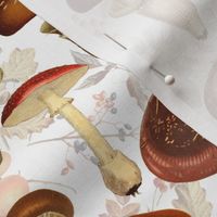 10" nostalgic vintage hand drawn antiqued botnical fungus mushrooms double on white-Vintage home decor, antique Psychadelic  Mushroom Wallpaper,Antique mushroom fabric,mushrooms fabric