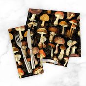 vintage hand drawn botanical fungus cabincore mushrooms double on black- Nostalgic  Autumn home decor, antique Psychadelic  Mushroom Wallpaper wallpaper,Antique mushroom fabric,mushrooms fabric