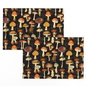 vintage hand drawn botanical fungus cabincore mushrooms double on black- Nostalgic  Autumn home decor, antique Psychadelic  Mushroom Wallpaper wallpaper,Antique mushroom fabric,mushrooms fabric